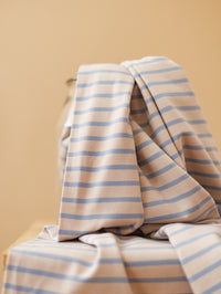 Cotton jersey / Stripes - Misty Blue