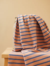 Cotton jersey / Stripes - Indigo Clay