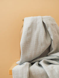 Cotton voile / Embroidered stripes
