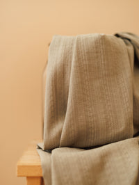 Cotton voile / Embroidered stripes - Rosemary