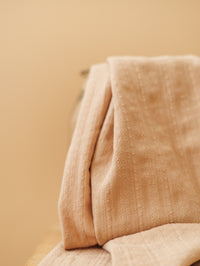 Cotton voile / Embroidered stripes -Beige