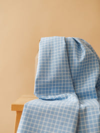 Cotton Poplin / Blue Checkers